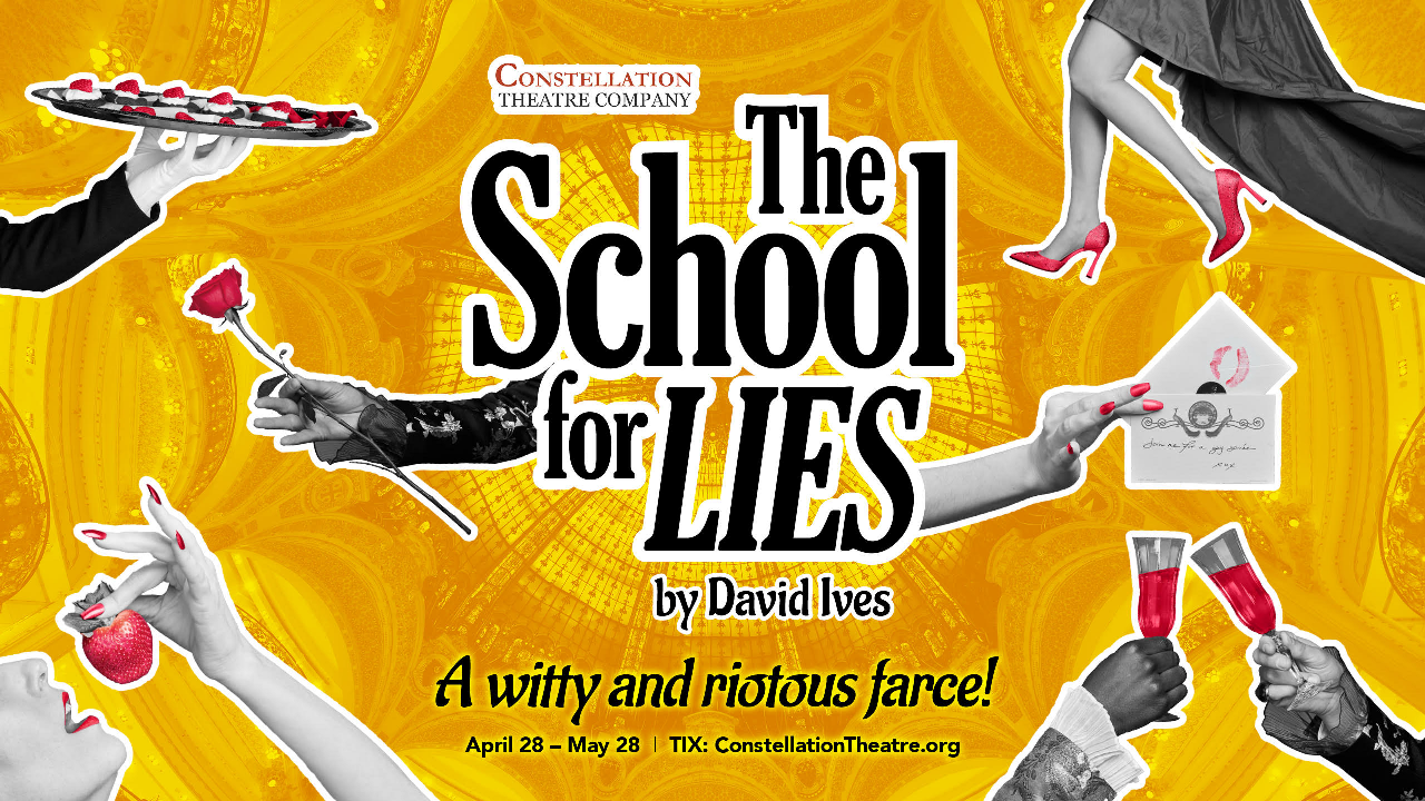 THE SCHOOL FOR LIES